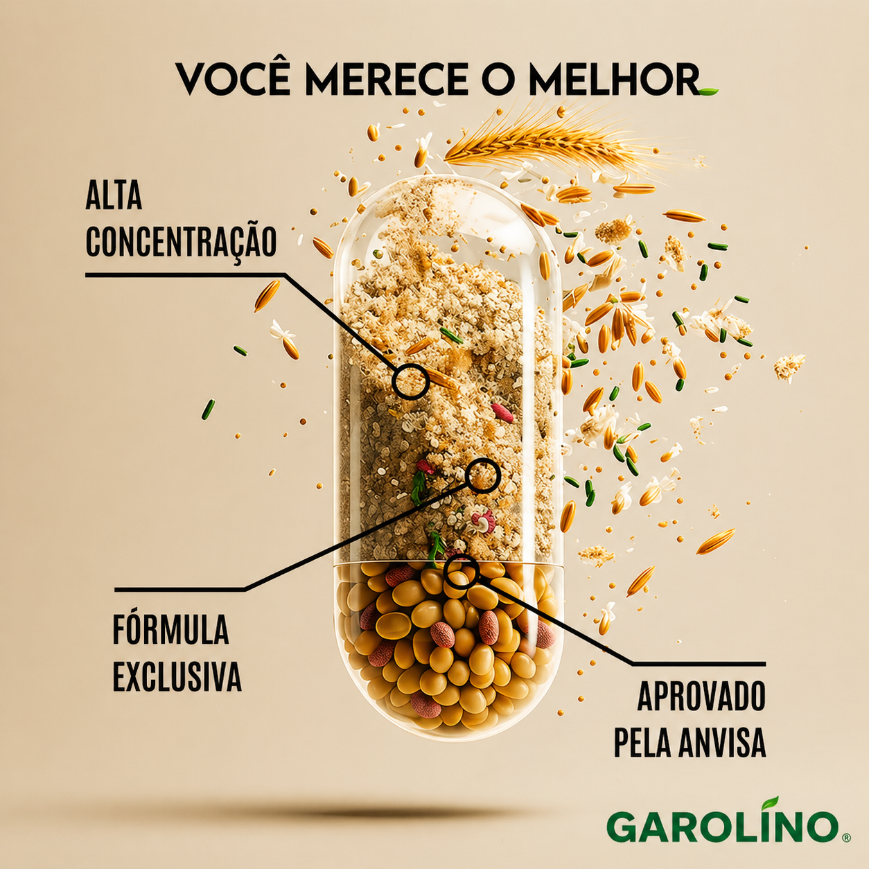 6 Magnésios + B12 Metilcobalamina (Edição Limitada)