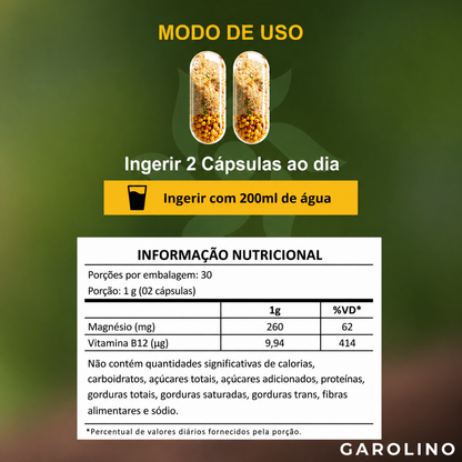 6 Magnésios + B12 Metilcobalamina (Edição Limitada)